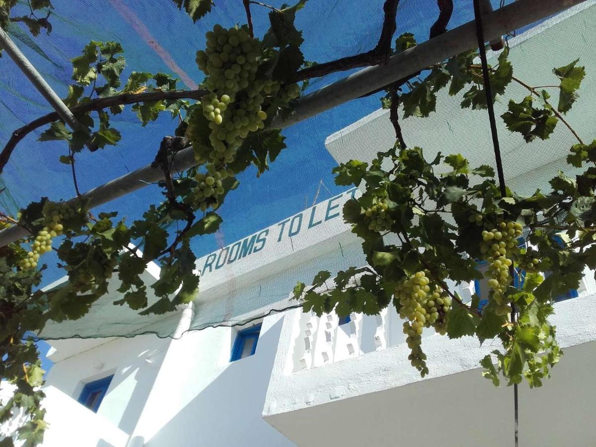 Nikos Apartments Lefkos  Exterior photo